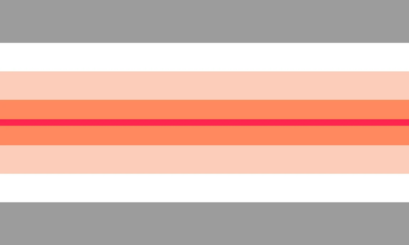 File:Paragirl Pride Flag.jpg