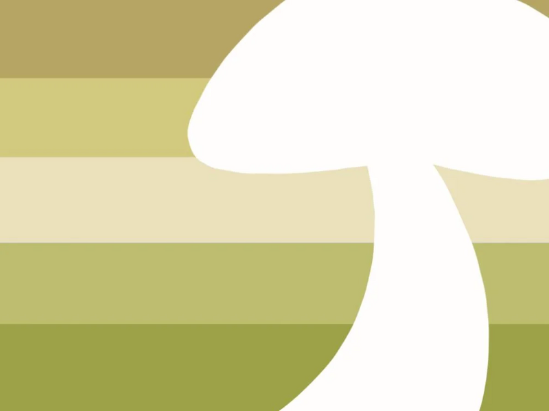 File:Amanitagender Flag.webp