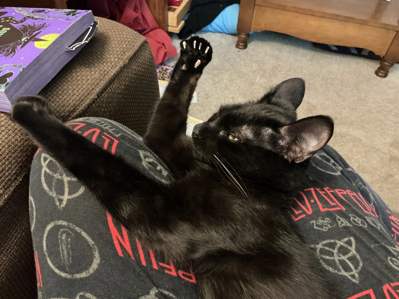 File:Murder mittens.jpg