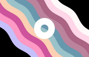 Palettegender 19.jpg