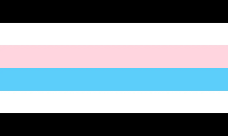 File:Transgender gendersolid.webp