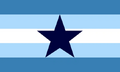 Alt Stargender flag #2