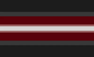 Anarchogender Alt5.jpg