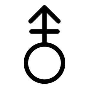 Androgyny symbol (up arrow).png