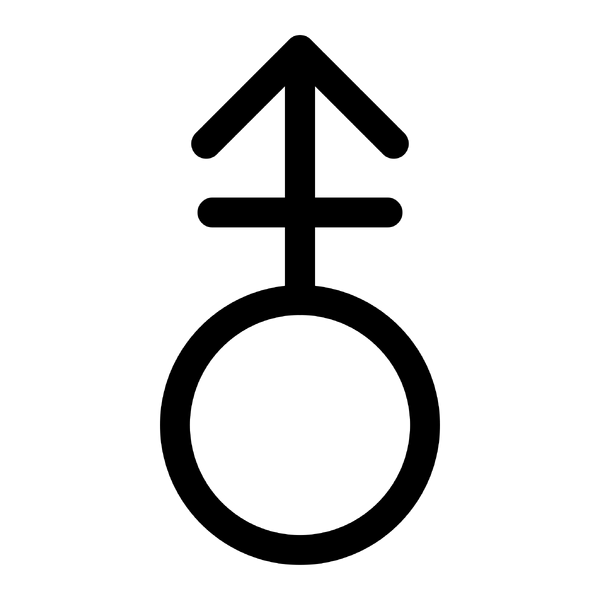 File:Androgyny symbol (up arrow).png