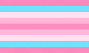 Trans transfem.jpg