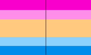 Pride flag Reflective Gender.png