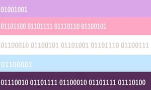 Robogender Alt18.jpg