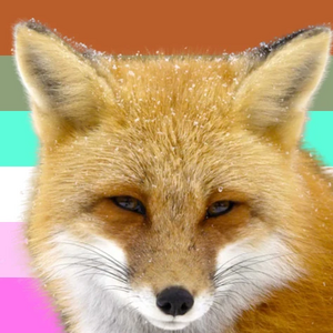 Zorramorhadic Fox.jpg