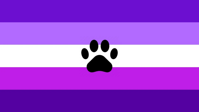 File:Affectifluid flag.jpg