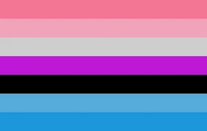 Double-Bi Fluidflux Flag.webp