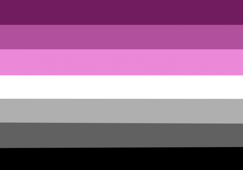 File:Crystalcoiner Girlflux Flag.png