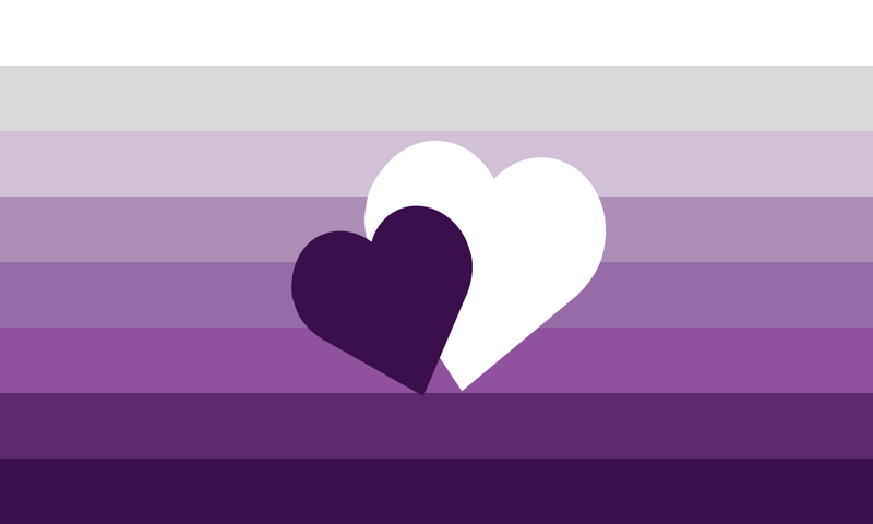 File:Beiunivasic flag.png