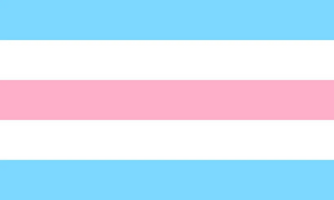 Transmasc flag 6.jpg