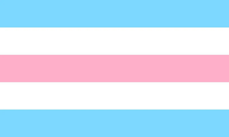 File:Transmasc flag 6.jpg