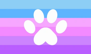 Catgender Inclusive.png