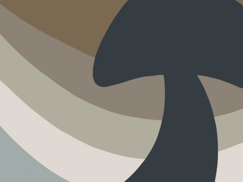 File:Fluxshoomic Flag.webp