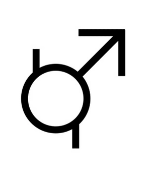 Boyflux Symbol.png