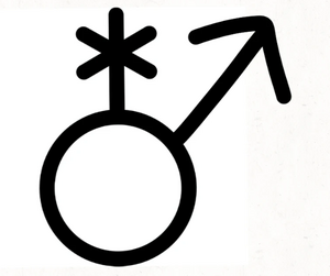 Enboy symbol.webp