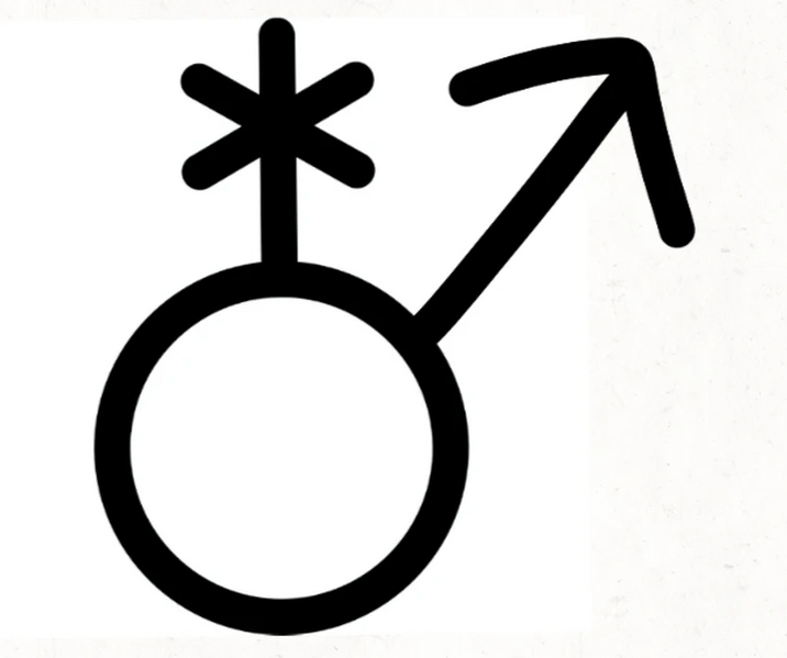 File:Enboy symbol.webp