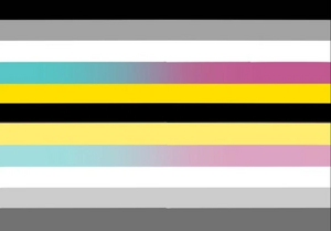 Agenderfluidflux flag