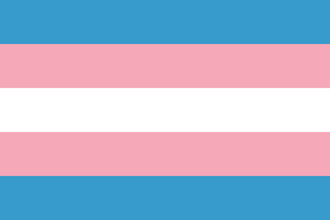 Color adjusted trans flag.png
