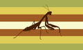 Fourth Buggender Flag by Twitter user trrrrav[1]