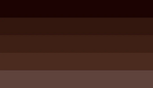 Darkchocogender 5.jpg