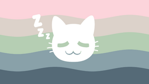 Sleepycatgender.jpg