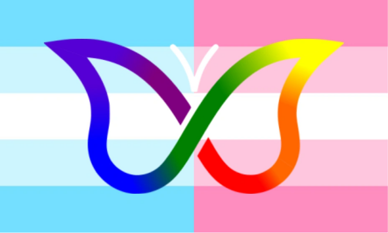 File:Ma Own ADHD flag -).png