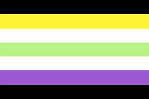 Agender-NonBinary Flag.png