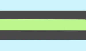 VoidAboygender flag.jpg