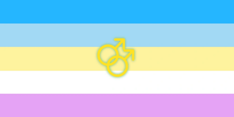 File:⚣gender Flag.png