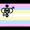 Fluidexpan-gender Flag[1]