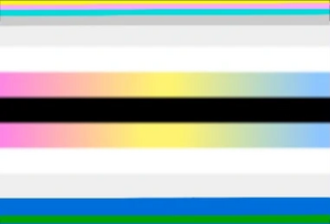 Hypixpagender flag.jpg