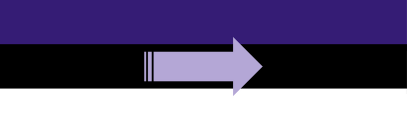 File:Followgender flag.png