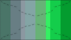 First alternate flag