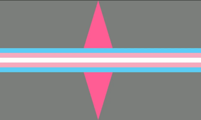 File:Transgenderspike.webp