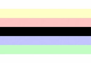 Adigender flag.jpg