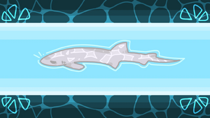 Catshark.png