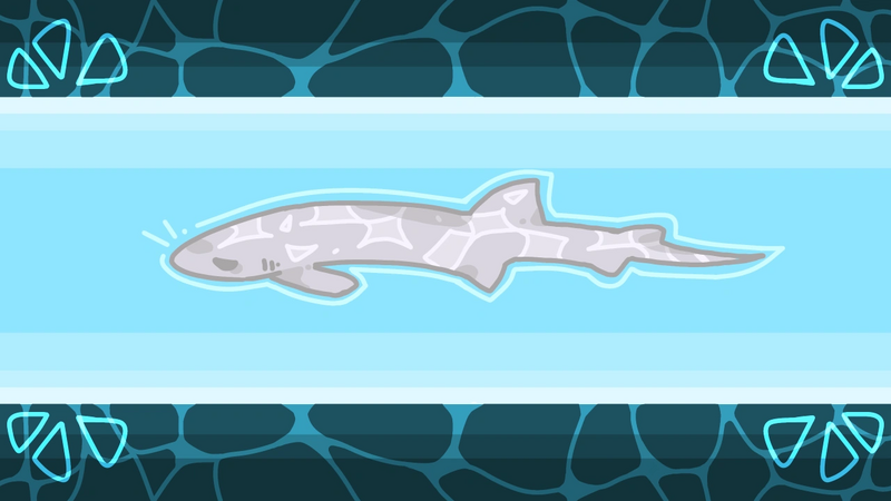 File:Catshark.png