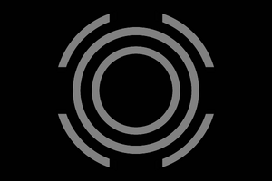 Gendervoid flag 2.png