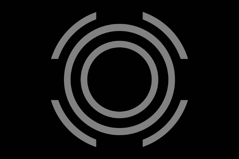 File:Gendervoid flag 2.png