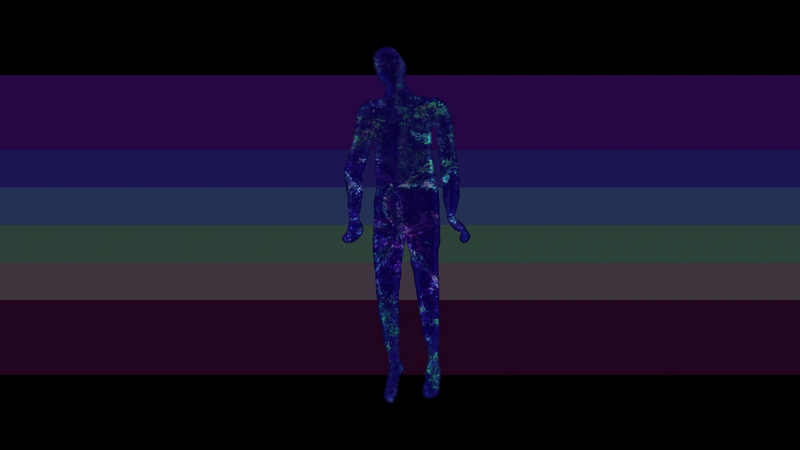 File:Voidentitygender basic.png