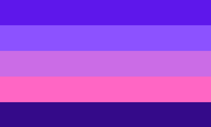 File:Logiciangender flag.png
