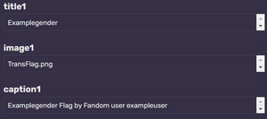 Gender Template Instructions 2.png