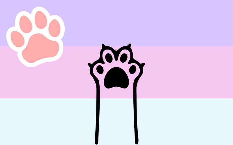 File:Gendershift Flag.png