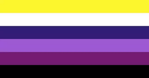 Mesobinary Spectrum Flag.webp