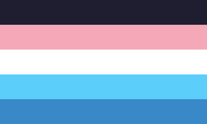 Detransitioner pride flag.png