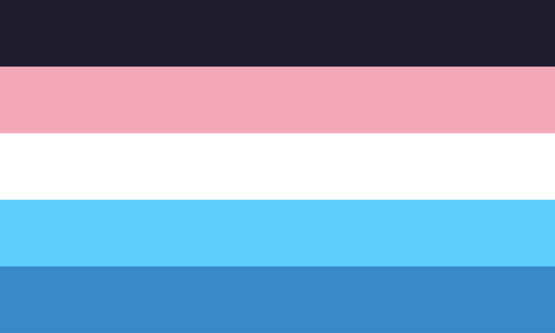File:Detransitioner pride flag.png